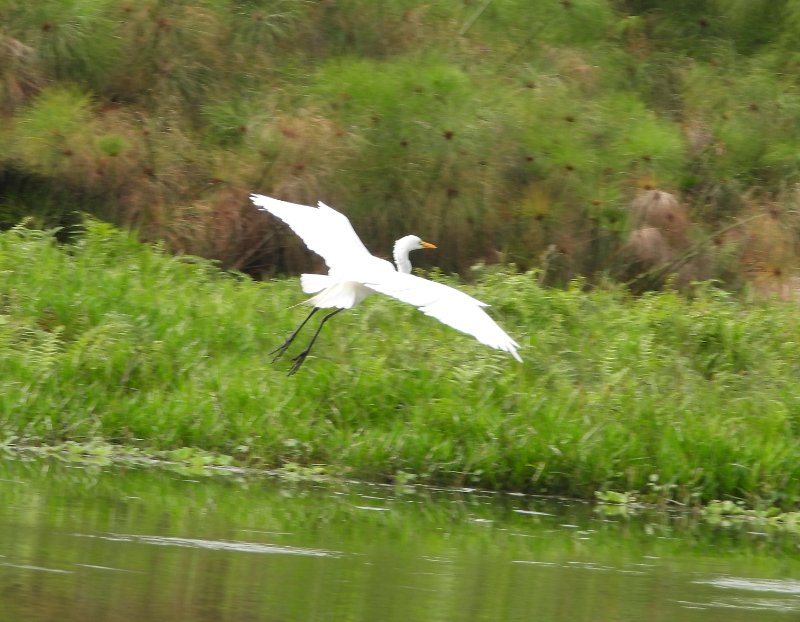 DSCN1832.JPG