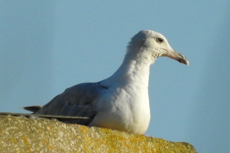 DSCN4747.JPG