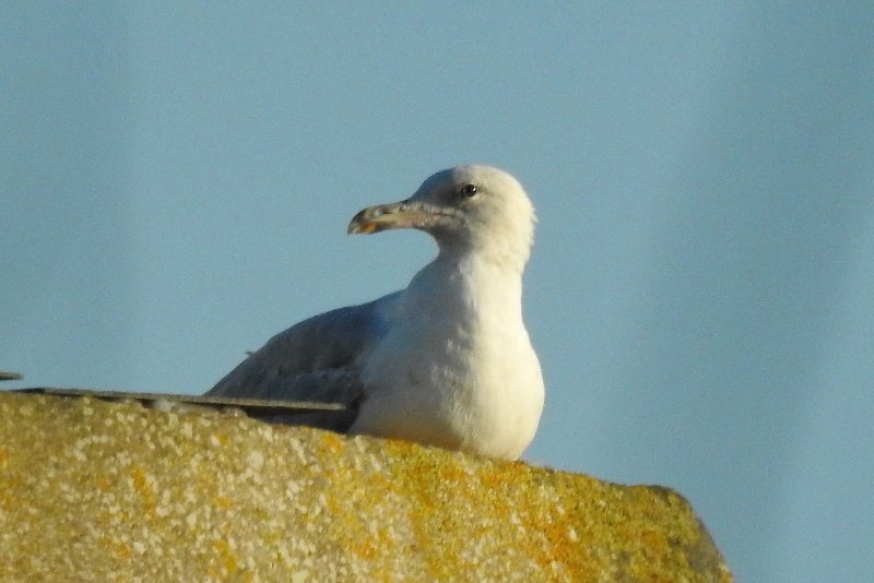 DSCN4762.JPG