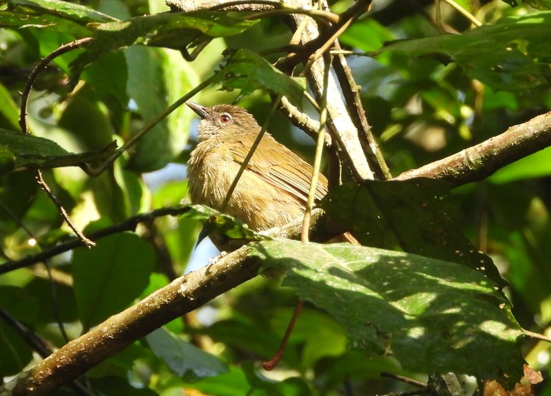 DSCN3768.JPG