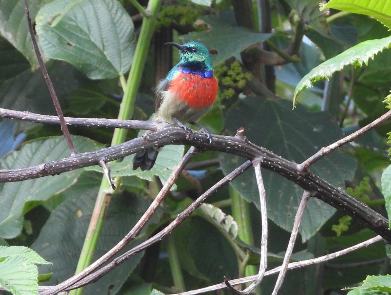 DSCN4832.JPG