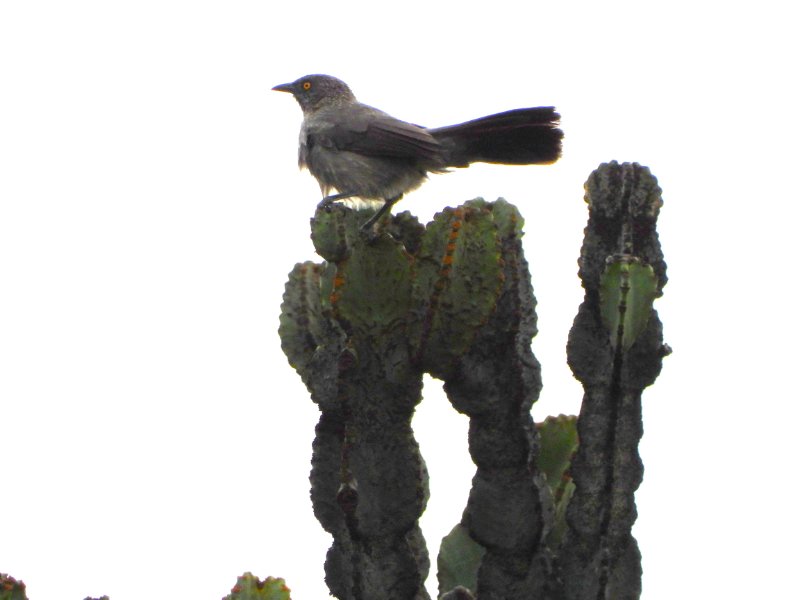 DSCN2284.JPG