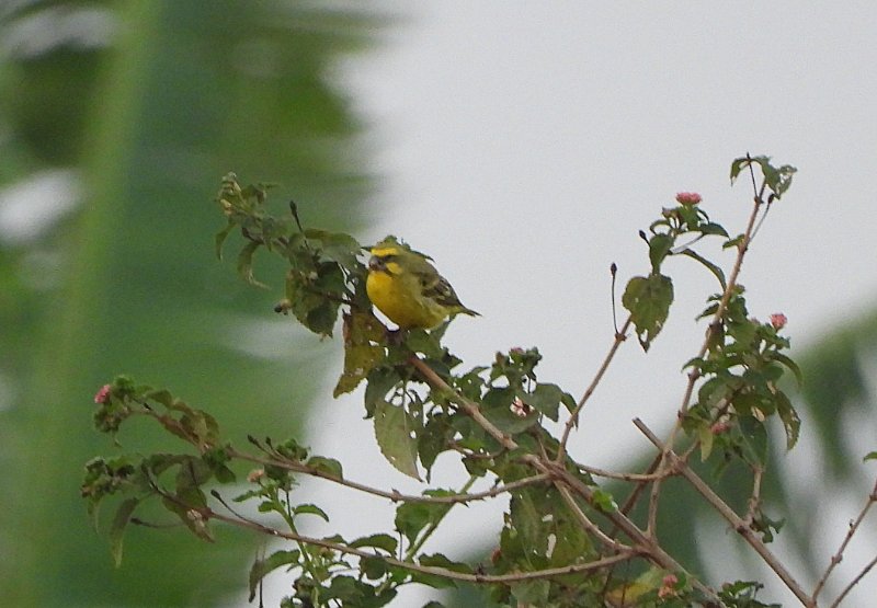 DSCN2448.JPG