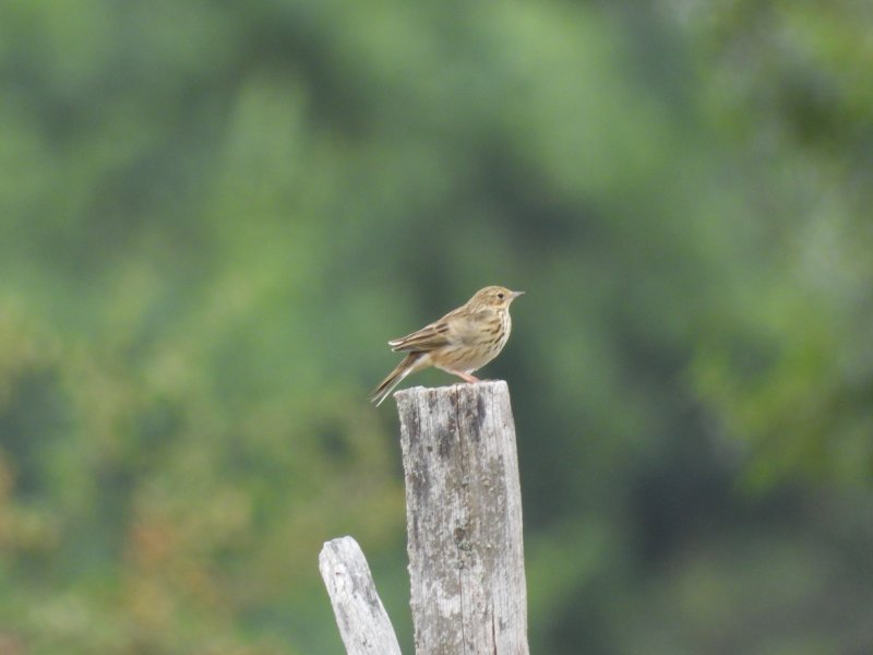 DSCN7684.JPG