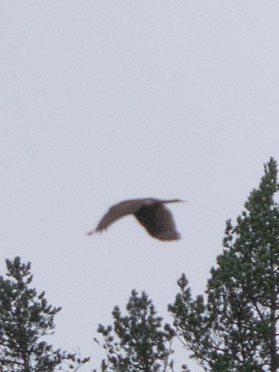 P1020854.jpg