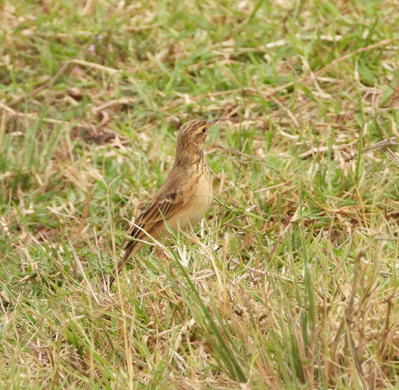 DSCN2815.JPG