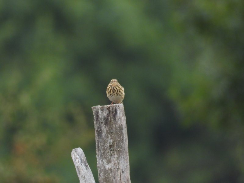 DSCN7681.JPG