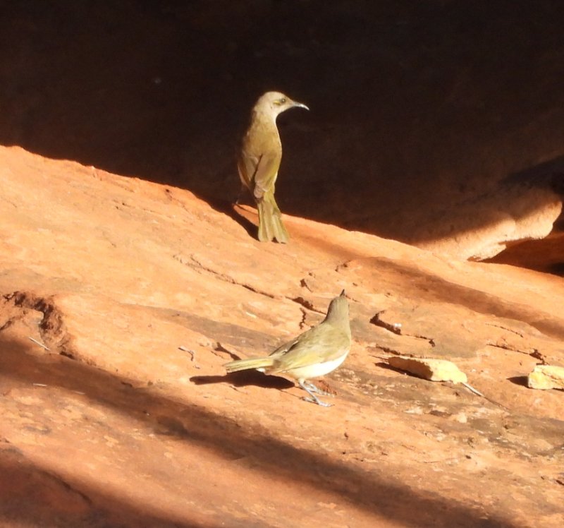 DSCN0595.JPG