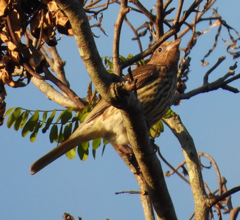 DSCN1405.JPG
