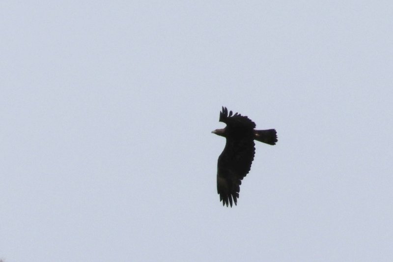 IMG_0122.jpg