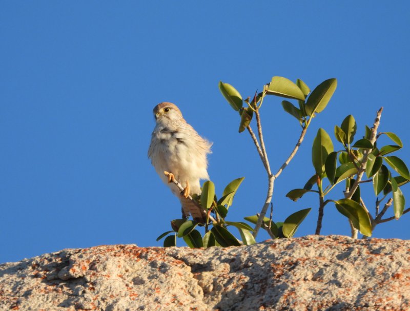 DSCN1753.JPG
