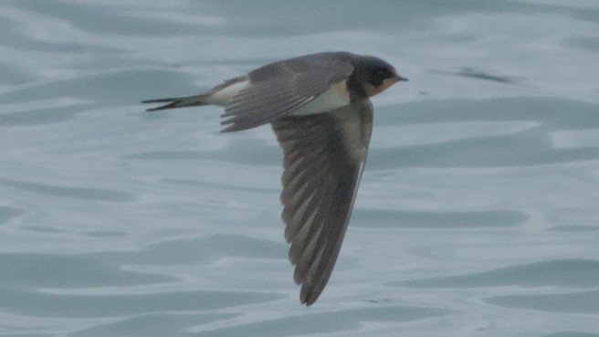 DSC_0449.jpg