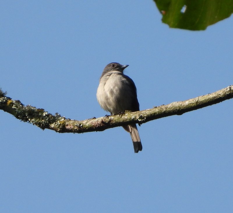 DSCN4439.JPG