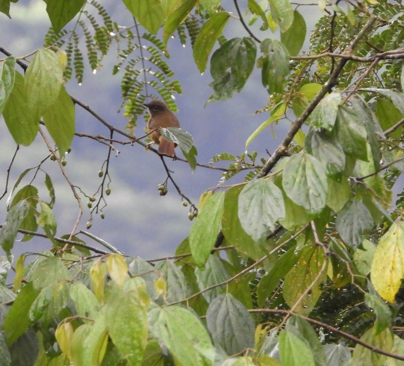 DSCN3417.JPG