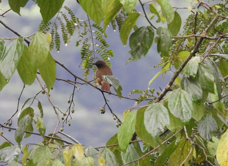DSCN3416.JPG