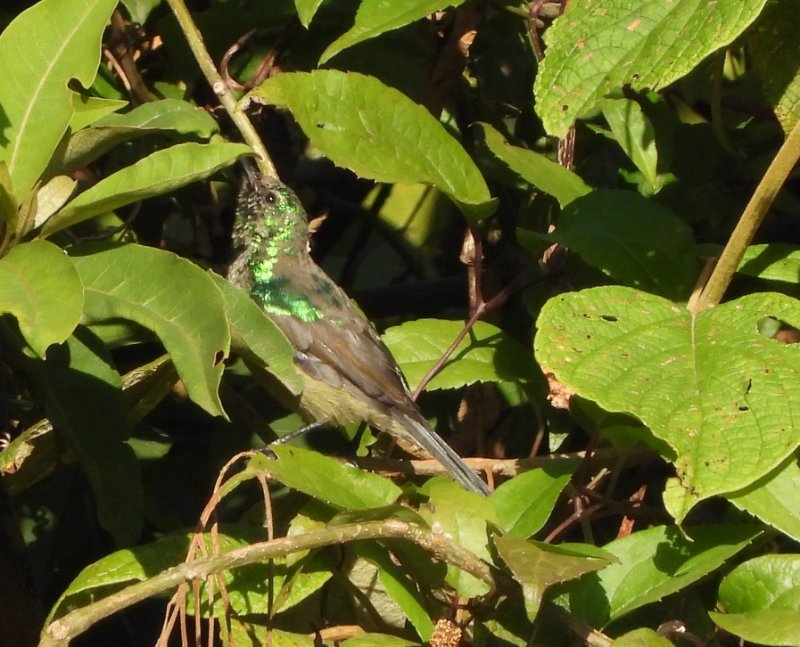 DSCN4878.JPG