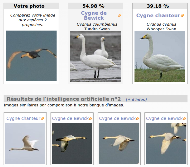 Capture d’écran 2025-11-03 190413.png