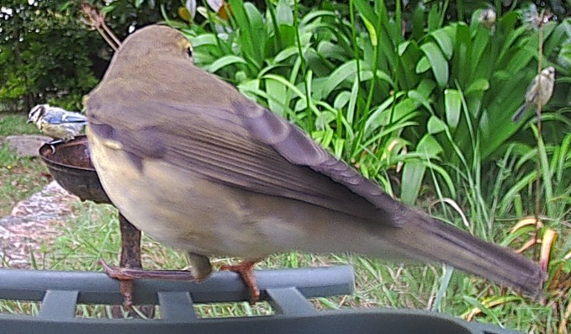 A 2025-0813-100833_009228c.JPG