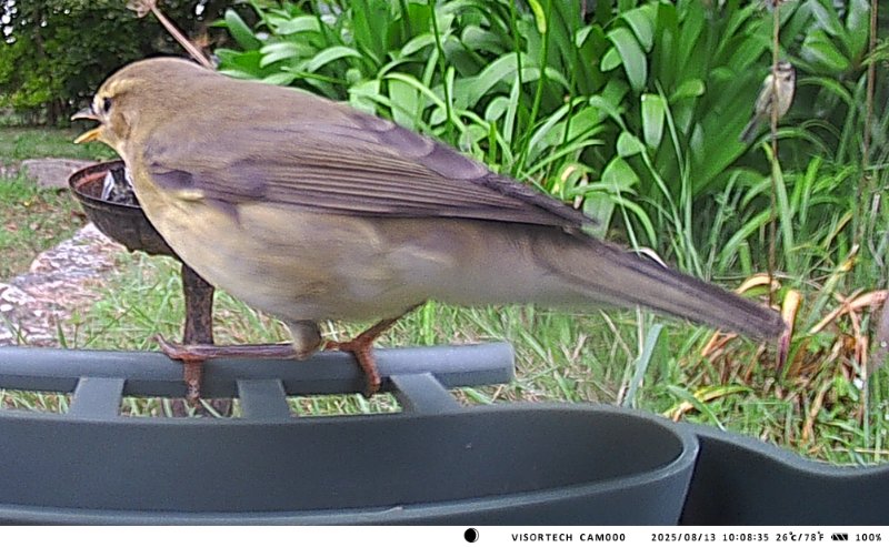 A 2025-0813-100836_009229c.jpg