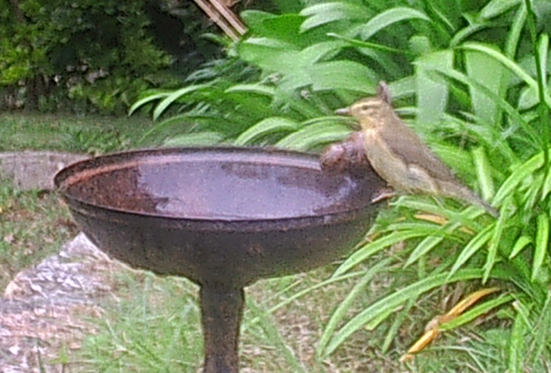 A 2025-0813-101314_009244.png