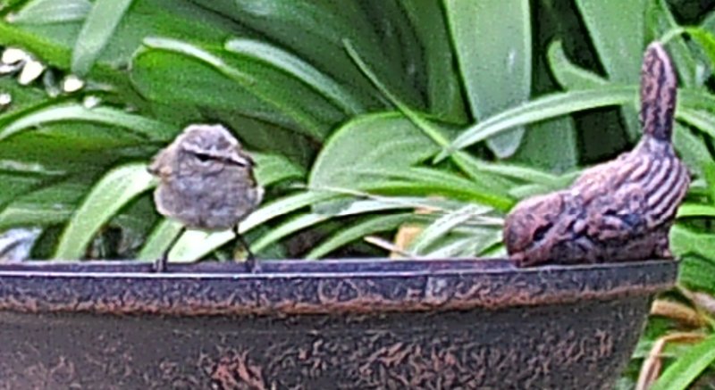 B 2025-0826-141543_002277c.JPG