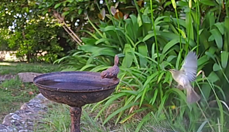 C mangeoire p brun.png