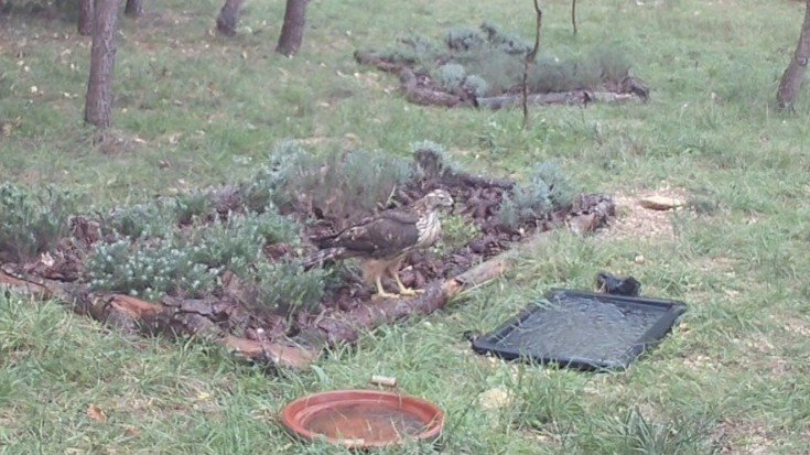 WhatsApp Image 2025-11-08 at 17.56.14.jpeg