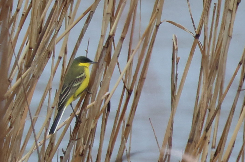 Capture d'écran 2025-11-15 145912.png