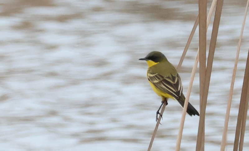 Capture d'écran 2025-11-15 145824.png