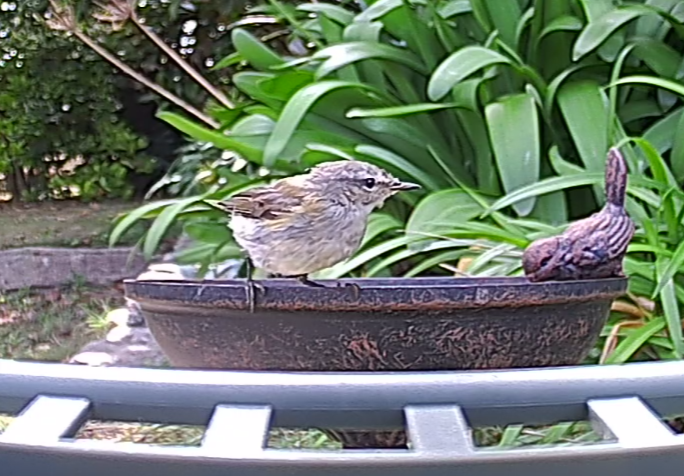 B mangeoire_53 p brun.png