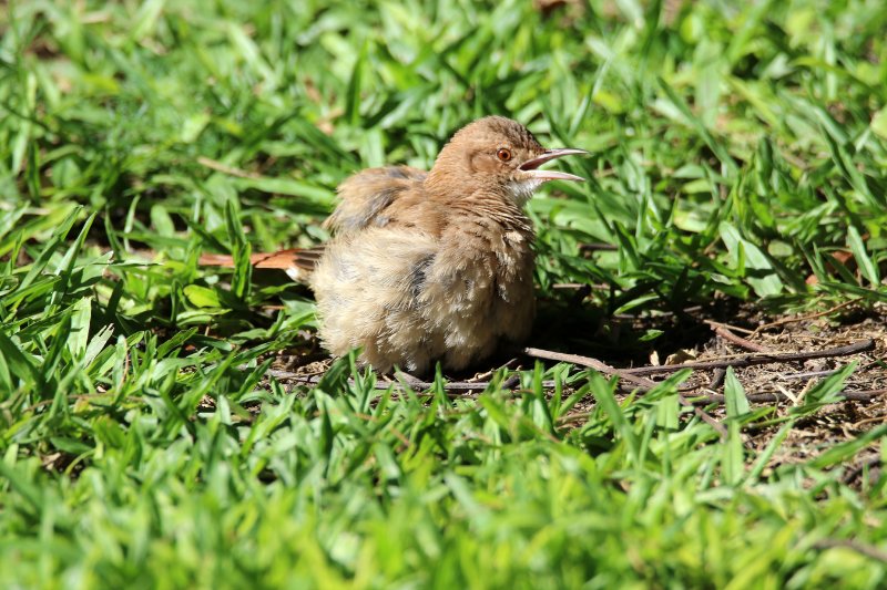 bb 824A9739 copie.jpg