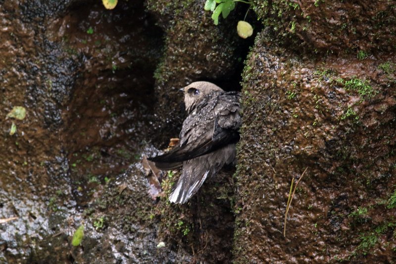 a 824A0286 copie.jpg