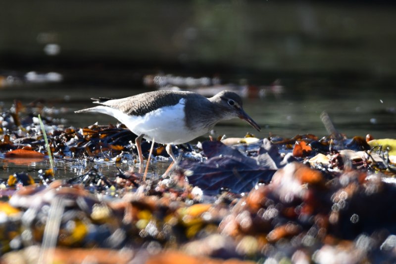 Photo 1 - Fond Brigneau.JPG