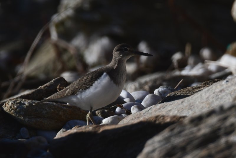 Photo 2 - Poulguen.JPG