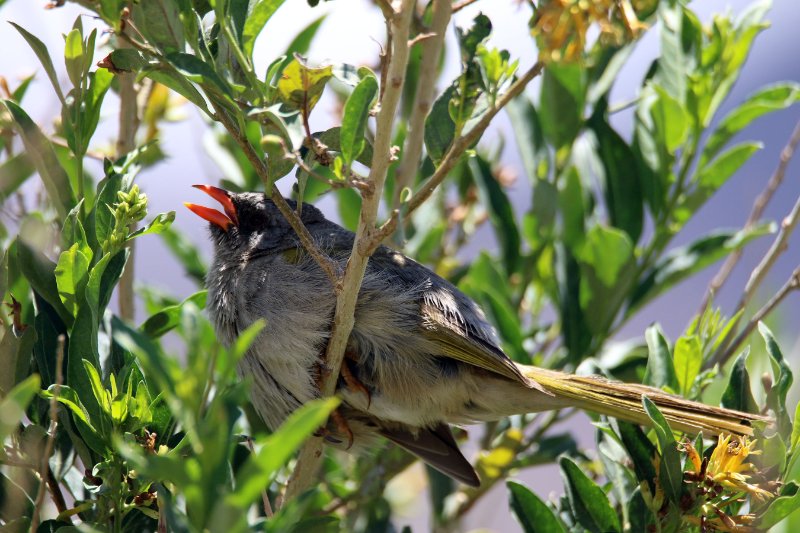 AA824A3494 copie.jpg