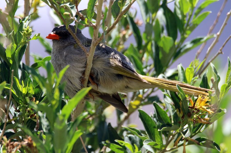 AAA 824A3493 copie.jpg