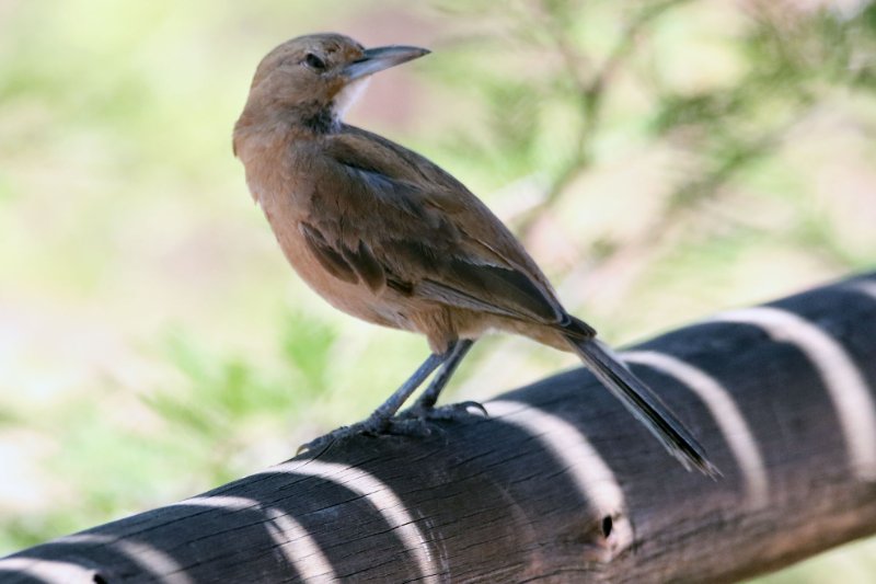 A0 824A4127 copie.jpg