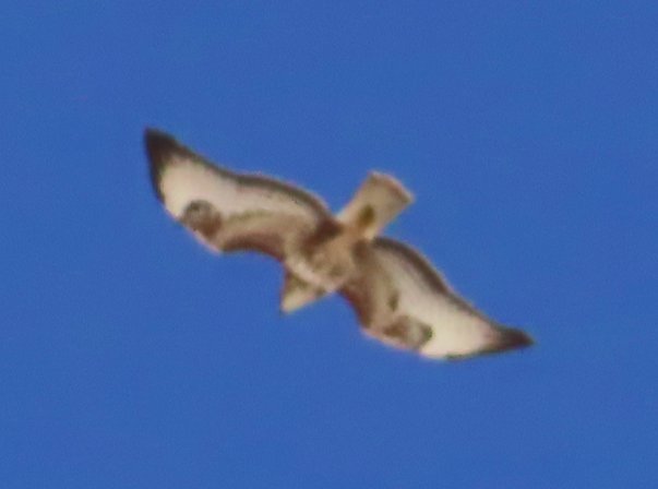 5) Boudin – Col du Pré – Chavonne – Roche Parstire 25.JPG