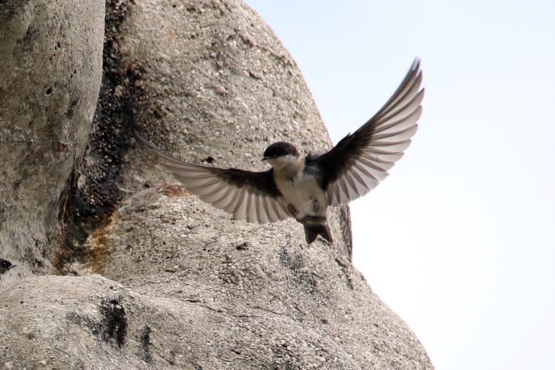 a2 824A4465 copie.jpg