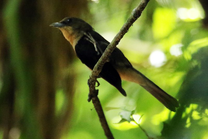 a2 824A5997 copie.jpg