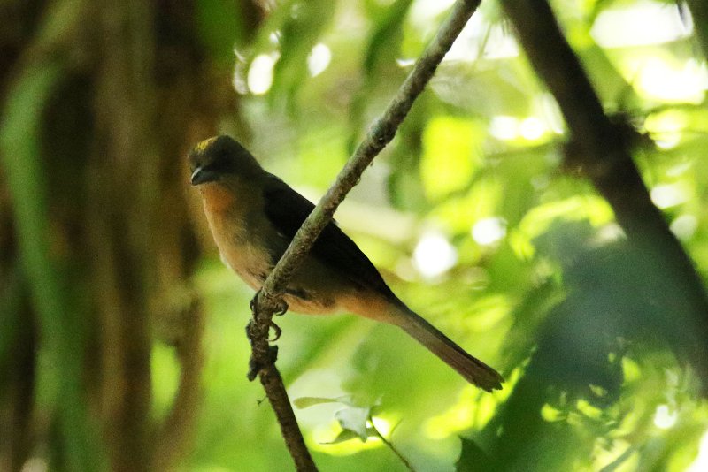 A2 824A5996 copie.jpg