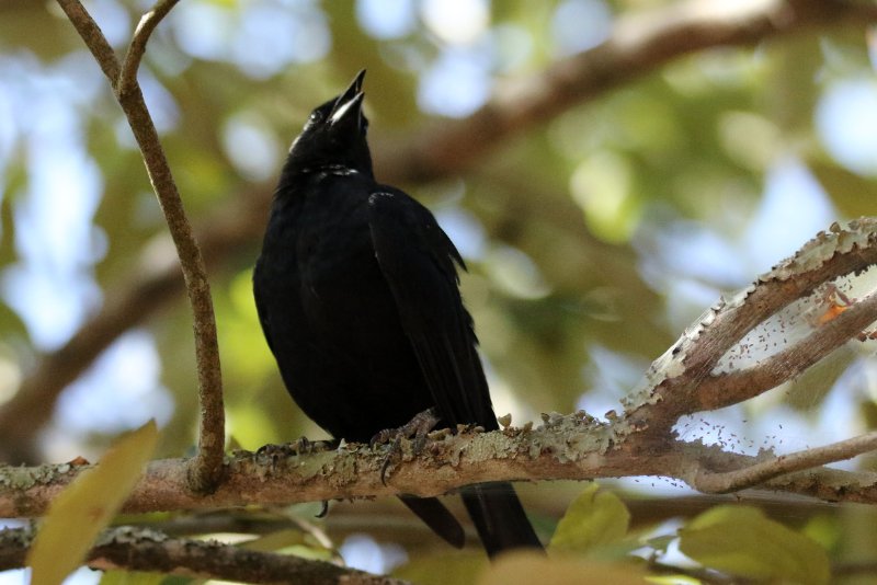 a2 824A6716 copie.jpg