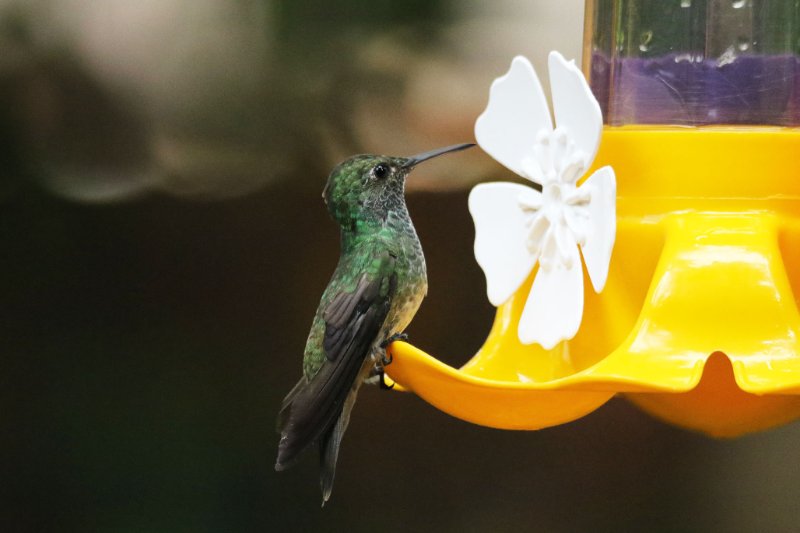 a8 824A6816 copie.jpg