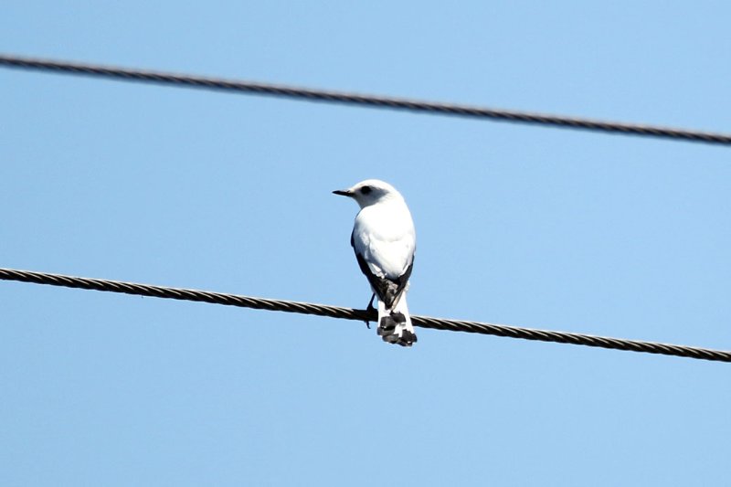 a2 824A9069 copie.jpg