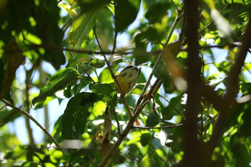 A2 824A7583 copie.jpg