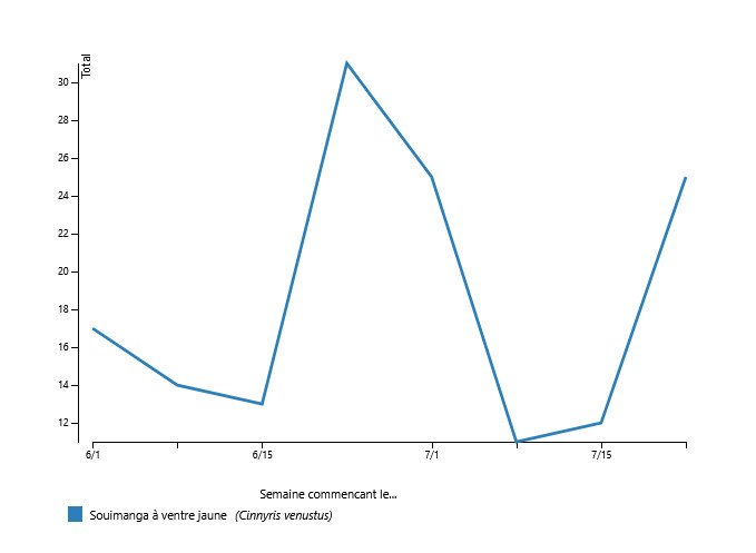 Souimanga à ventre jaune.jpg