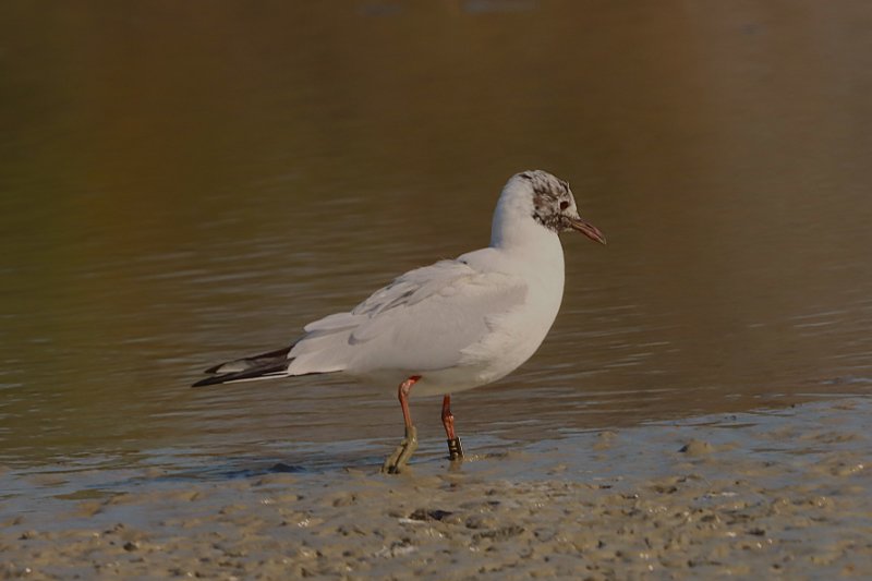 2026_03_21_IMG_5524 MN.JPG