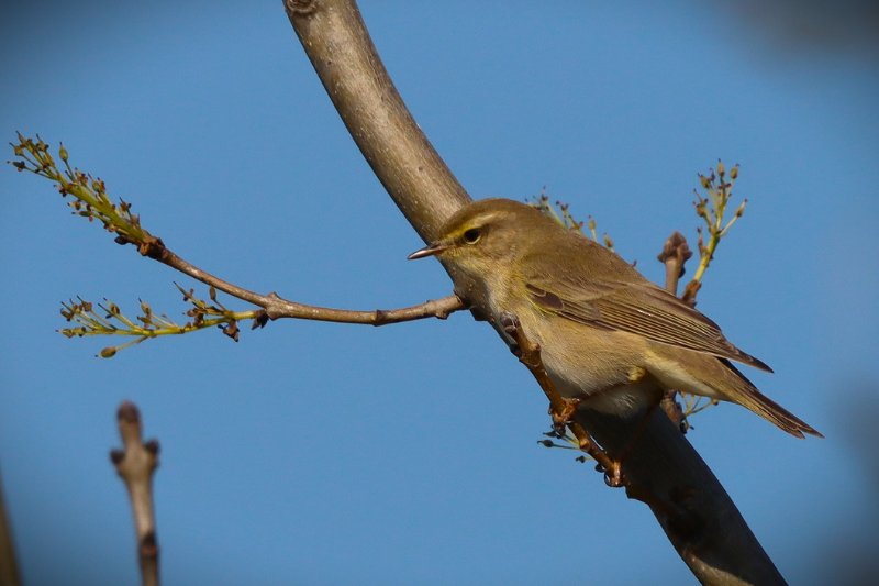 2026_03_21_IMG_5532 MN.JPG