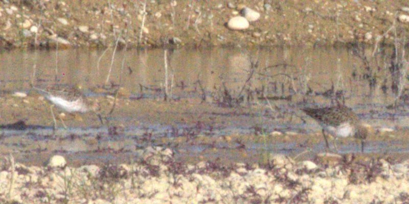 DSC_0177.jpg