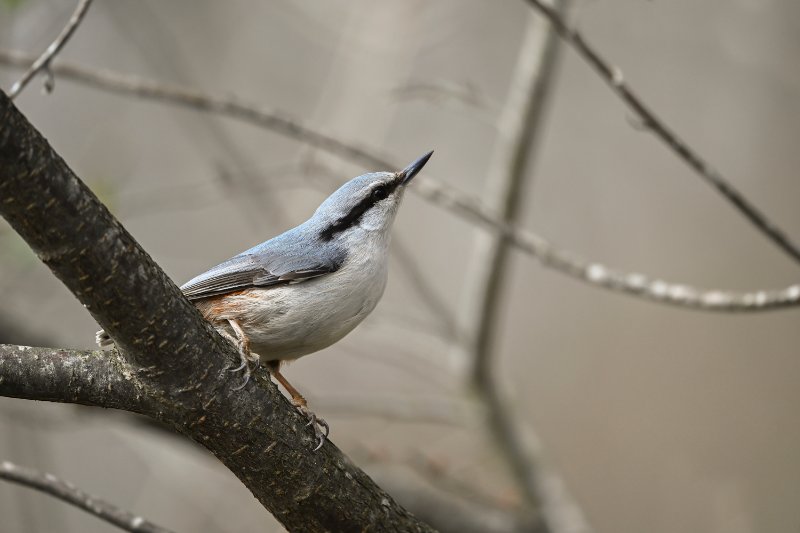 DSC_3384.2.mini.jpg